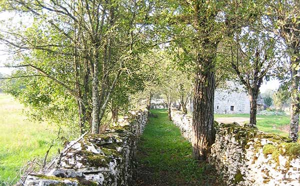 L'Espoir en chemin